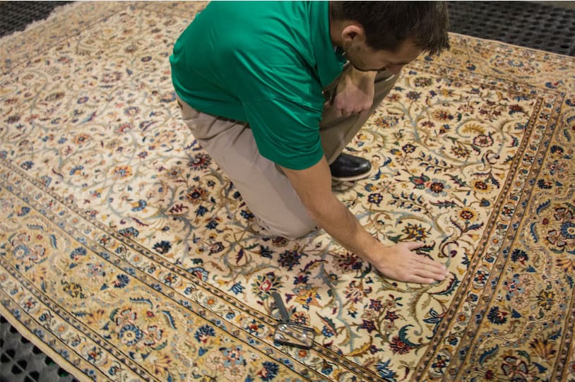 Technician cleaning an area rug in a living room in Long Grove, IL
