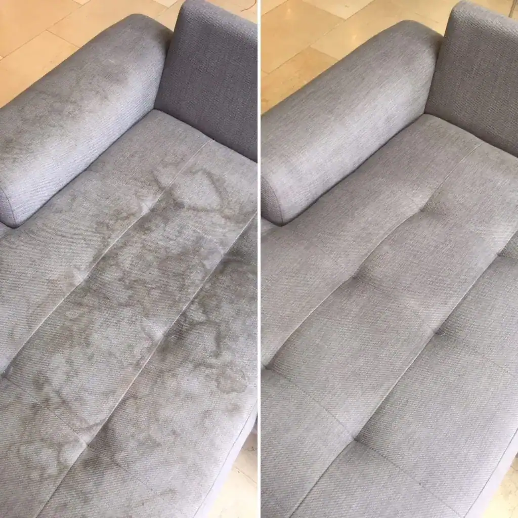 Sofa cushion cleaning comparison in Grayslake