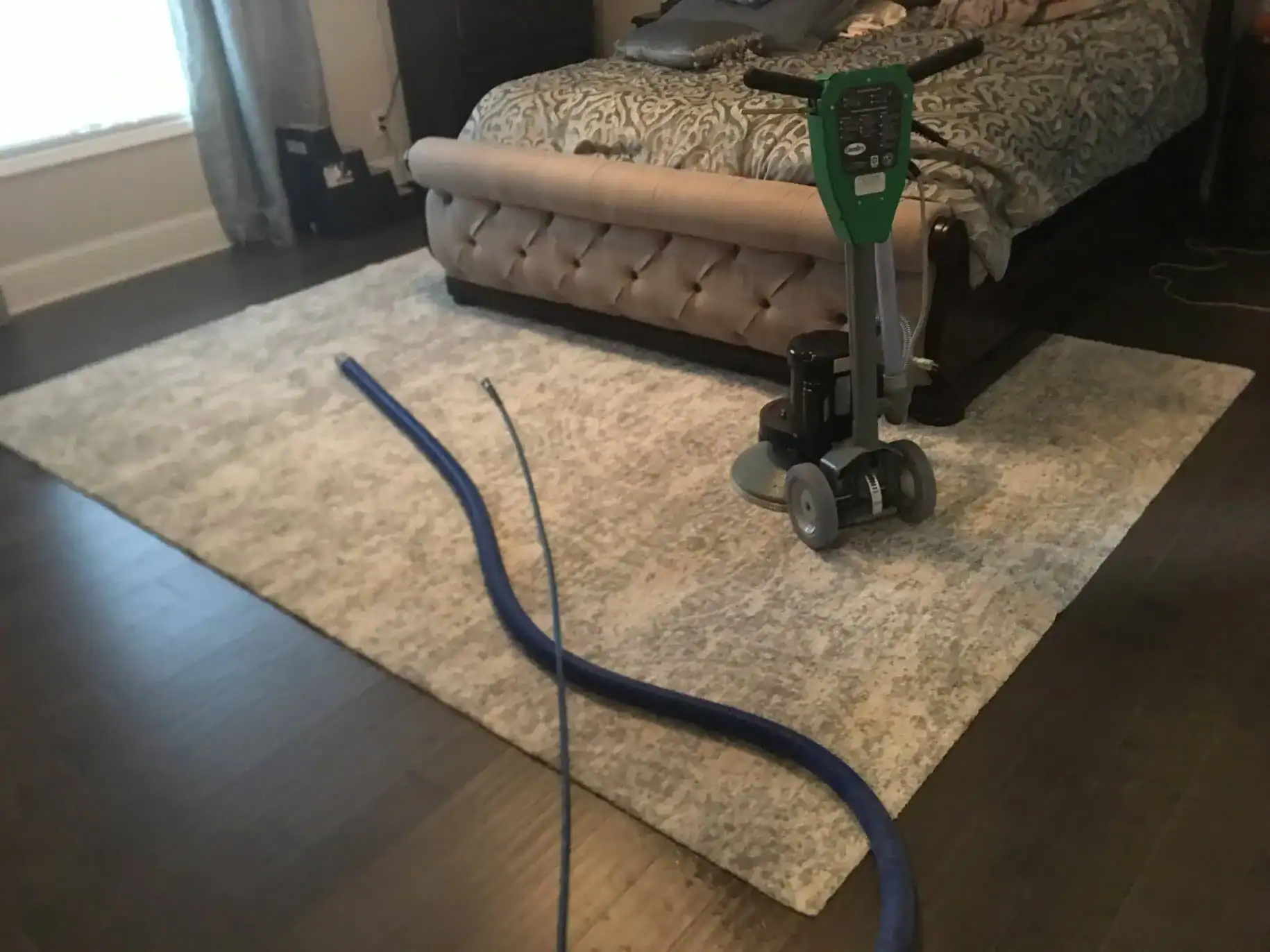 Quick-Dry technician cleaning an area rug inside a home in Antioch, IL