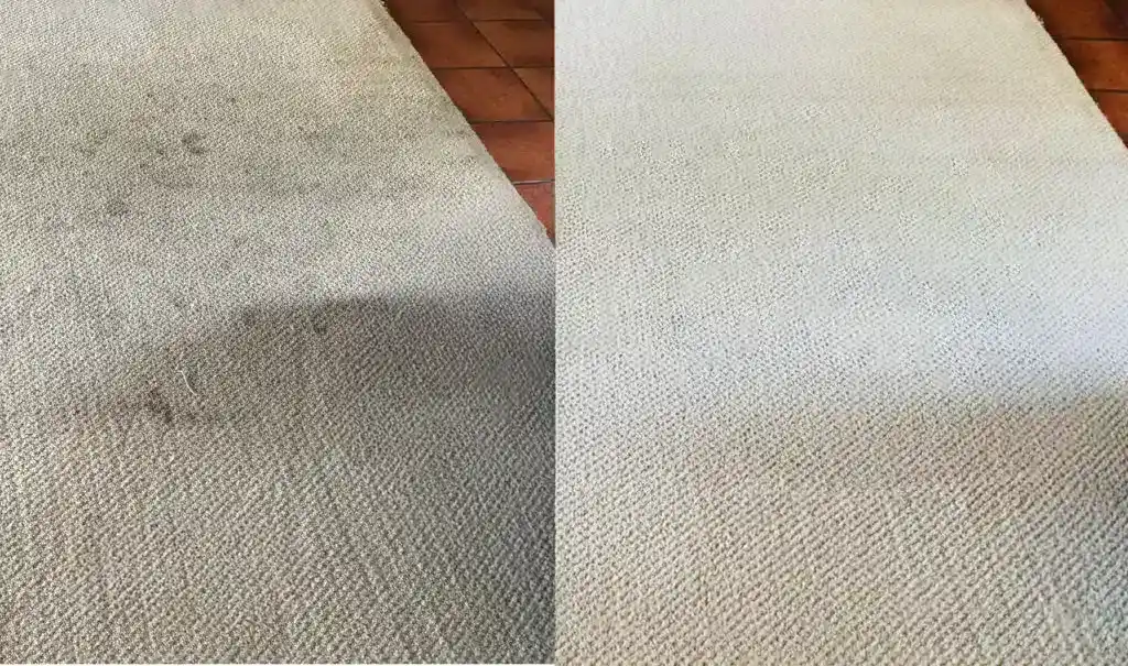 whole home deep cleaning before after