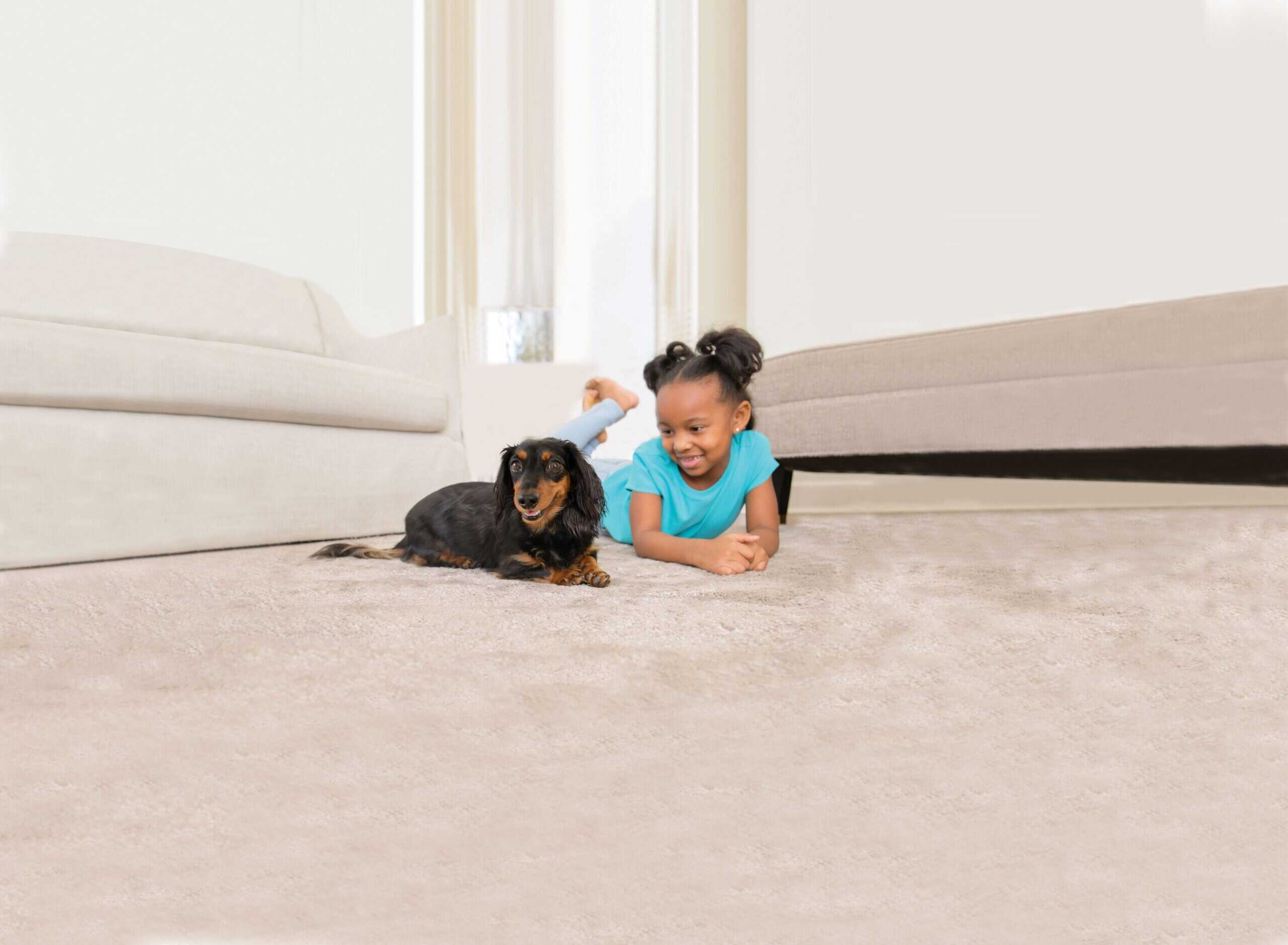 girl and dog on fresh cleaned carpet in dupage county