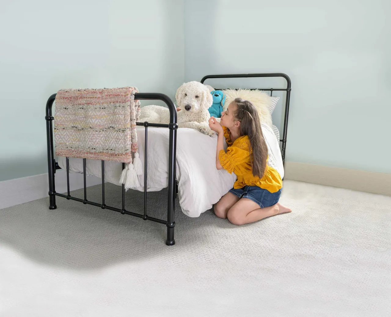 Professional pet odor and urine removal service in an Aurora IL home