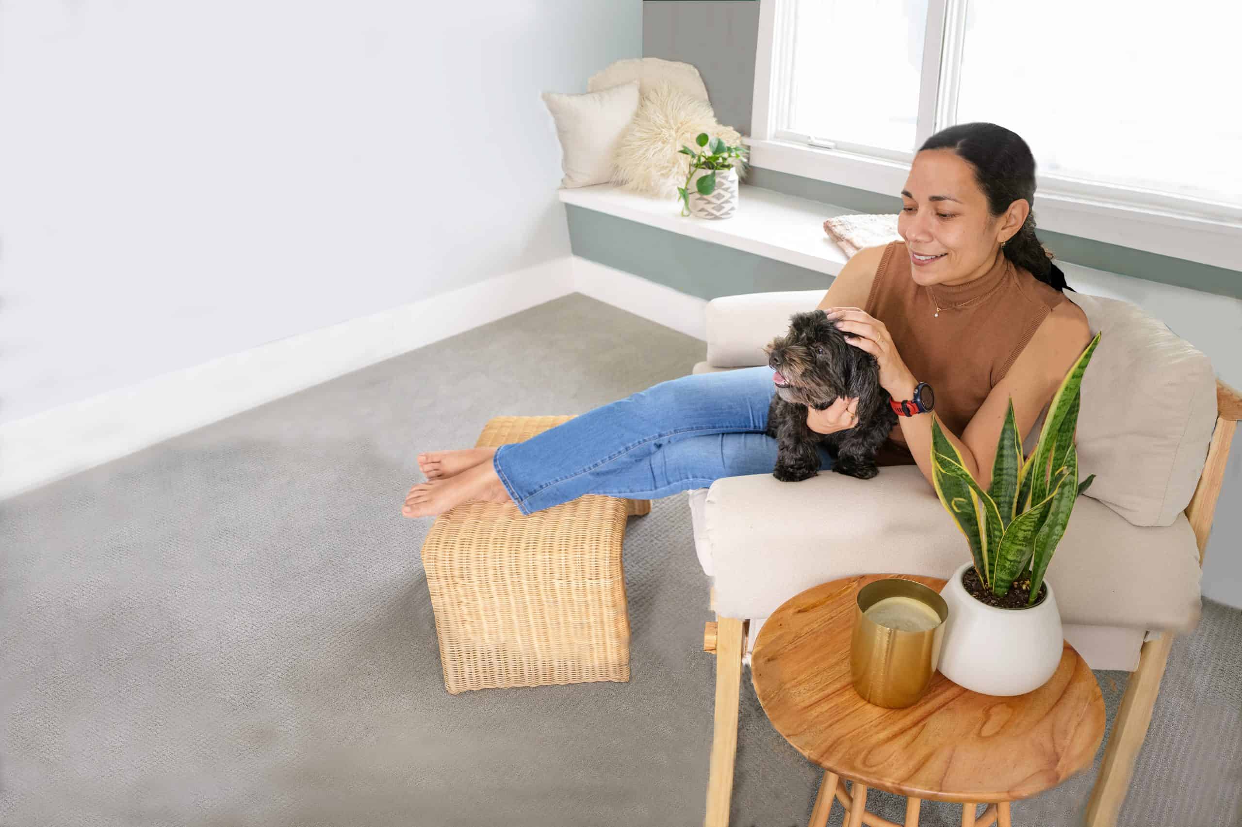 Professional pet odor and urine removal service in a Carpentersville IL living room