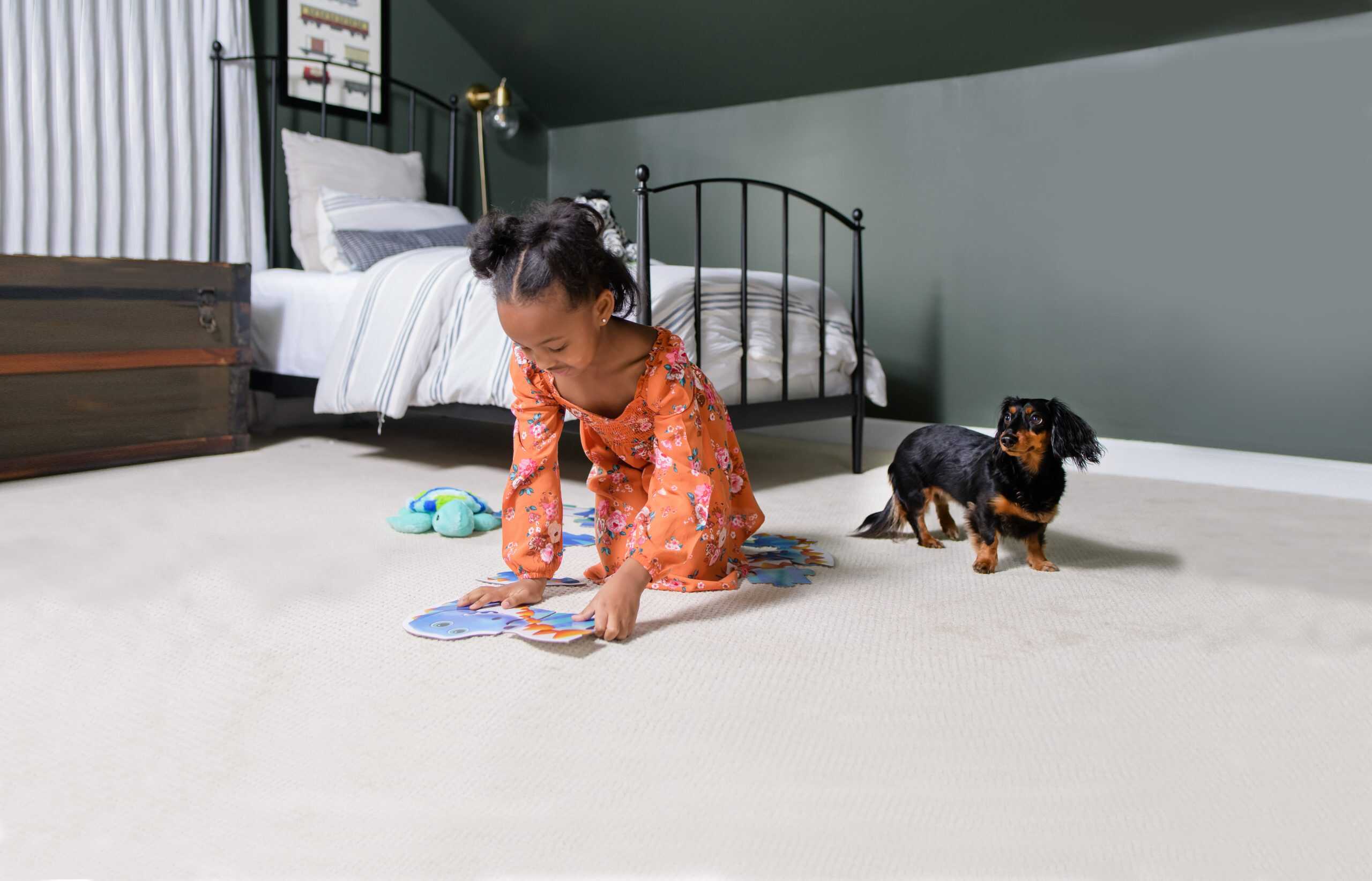 Professional pet odor and urine removal service in a Long Grove IL home