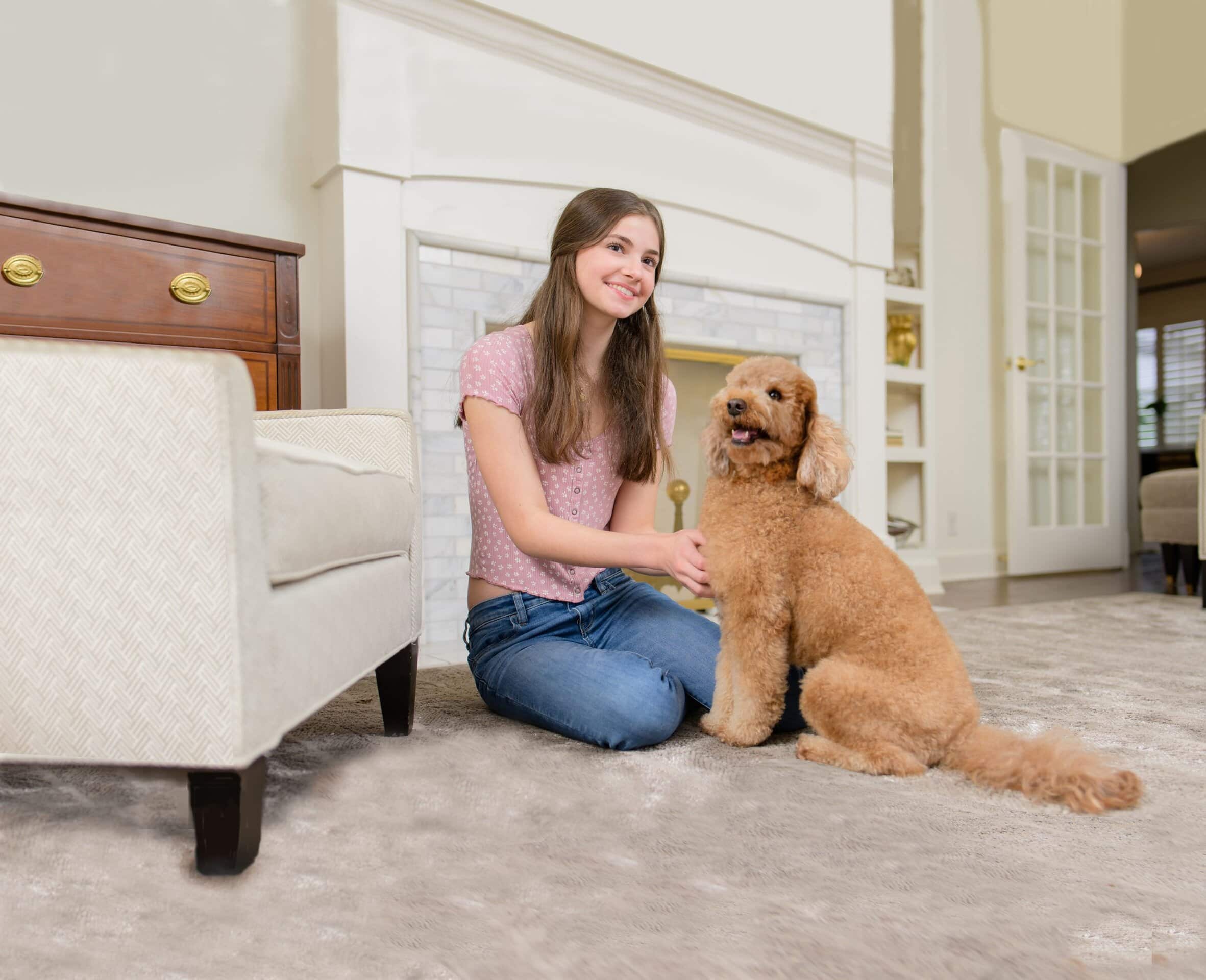 Professional pet odor and urine removal service in a Palatine IL home