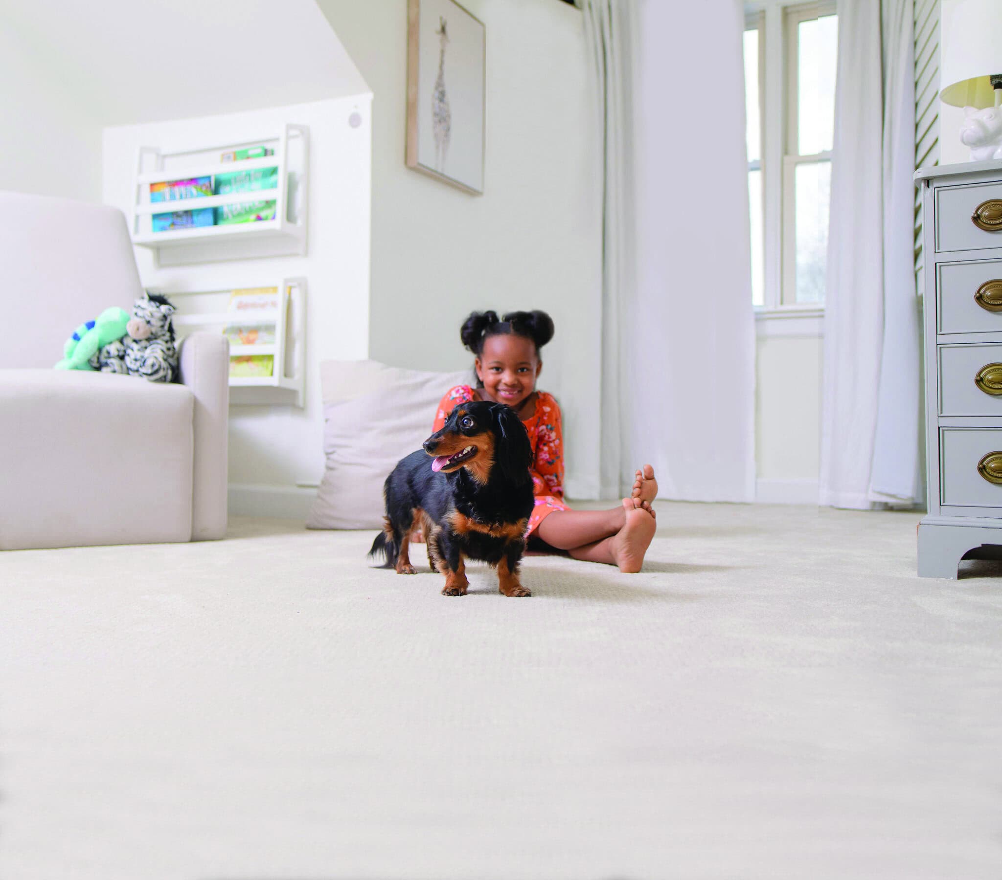 Professional pet odor and urine removal service in a Rolling Meadows IL home