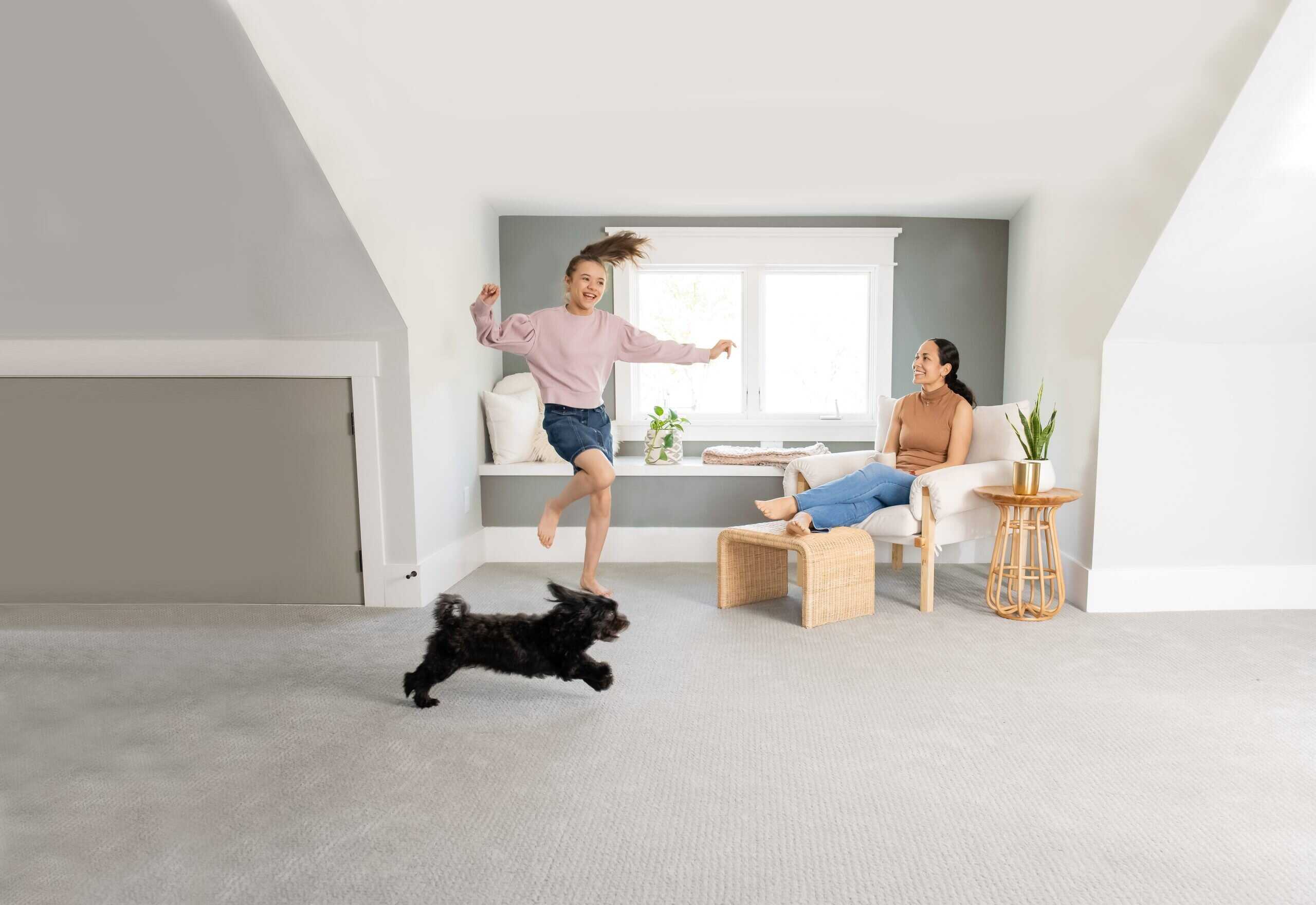 Professional pet odor and urine removal service in a South Elgin IL home