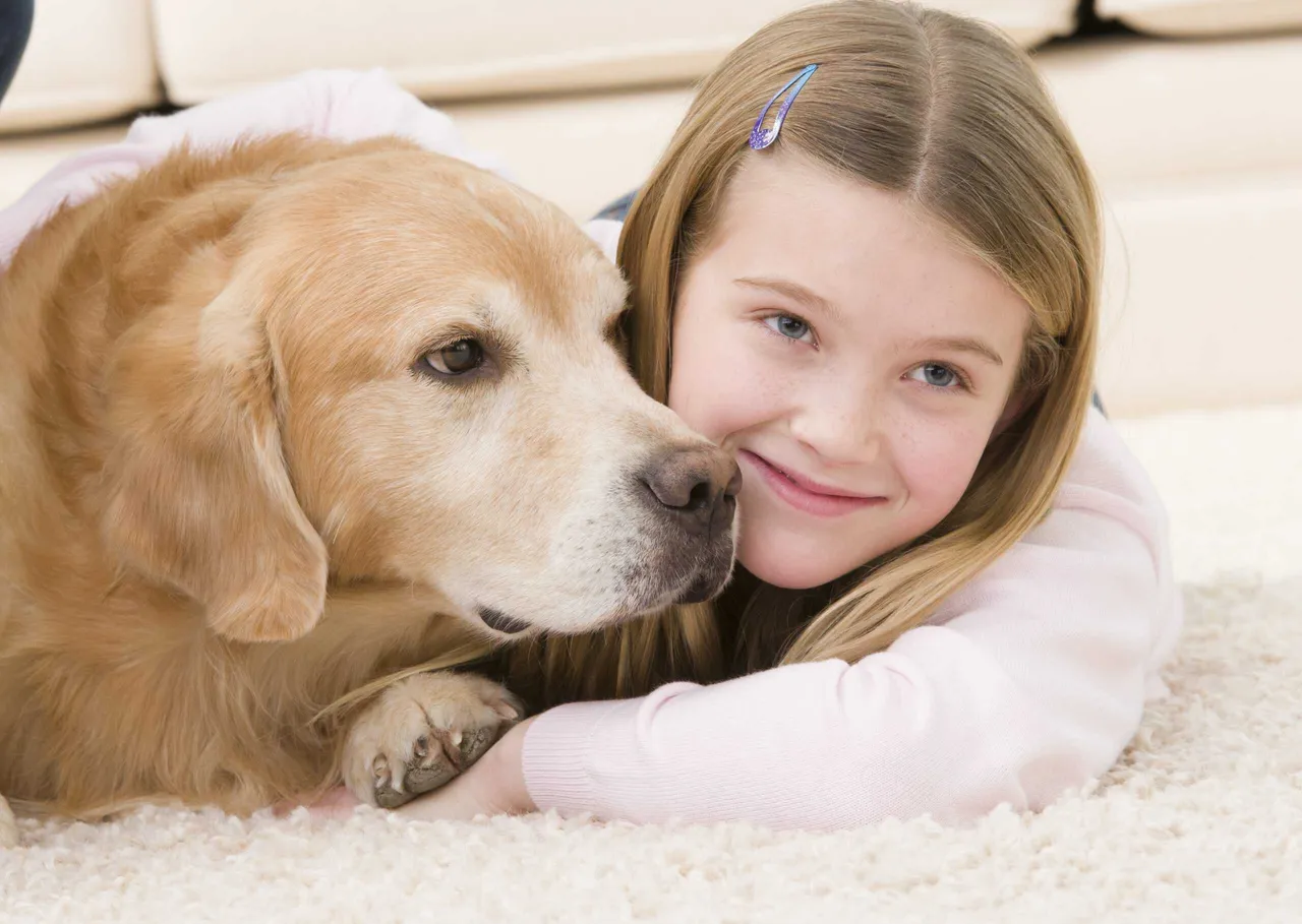 Professional pet odor and urine removal service in a West Dundee IL home